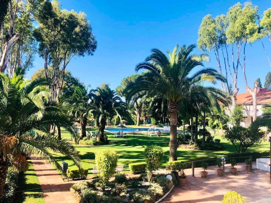 Puerto Banus Eddie Suite 马尔韦利亚 外观 照片